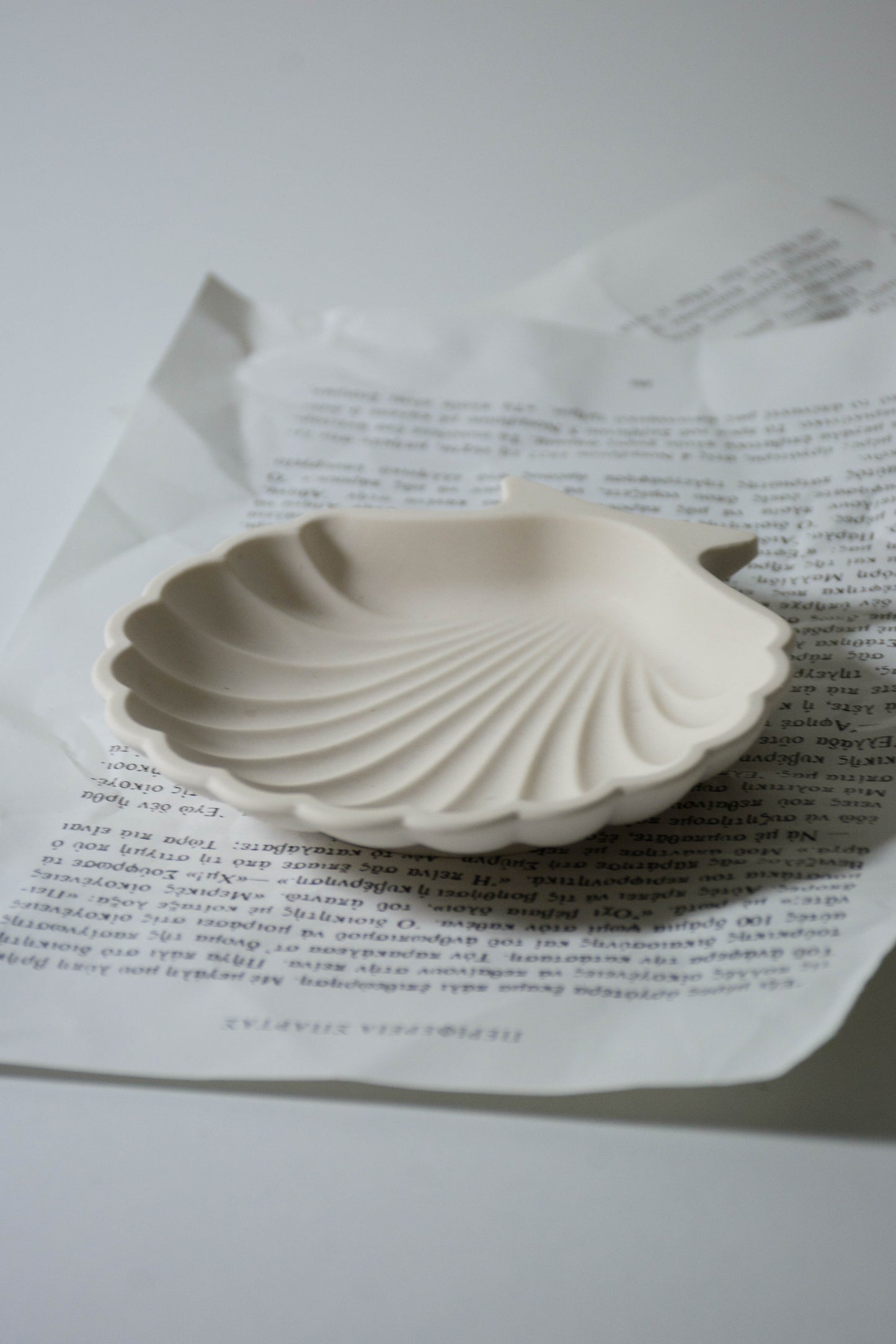 SEASHELL TRAY