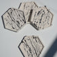 COASTER SET LINES